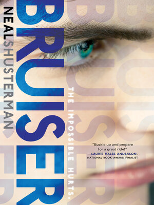 cover image of Bruiser